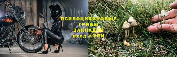 ешки Белоозёрский