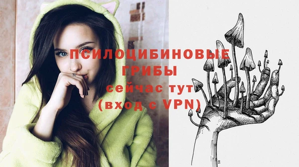 MESCALINE Белокуриха