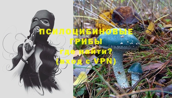ешки Балахна