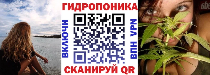 Шишки марихуана OG Kush цены blacksprut сайт Горячий Ключ